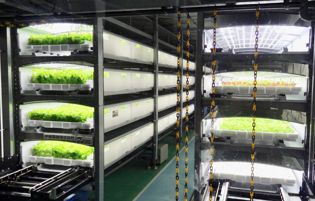 Chiba Sees Farming Revolution Budding Underground - SNA Japan